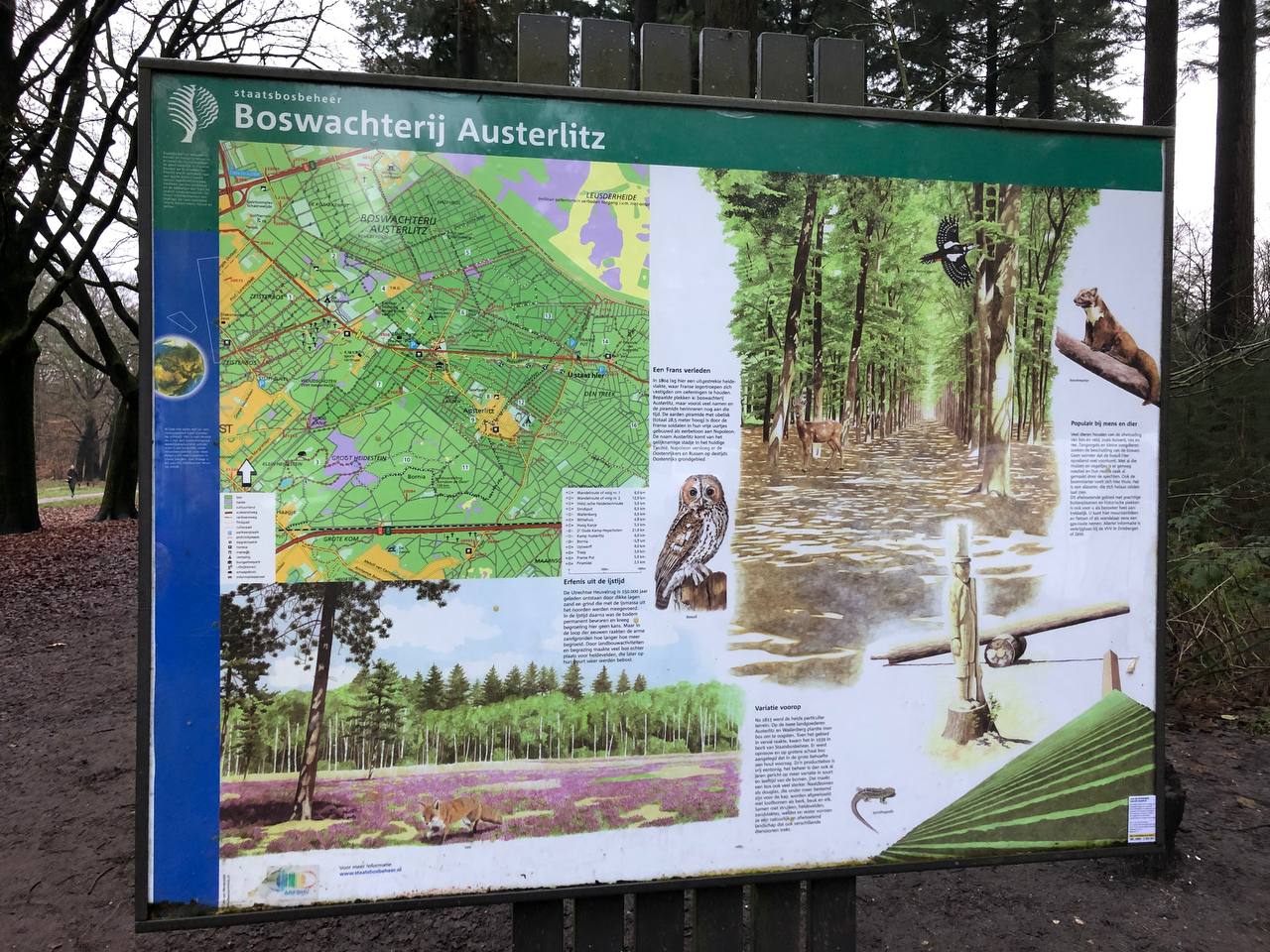 Losloopgebied Austerlitz