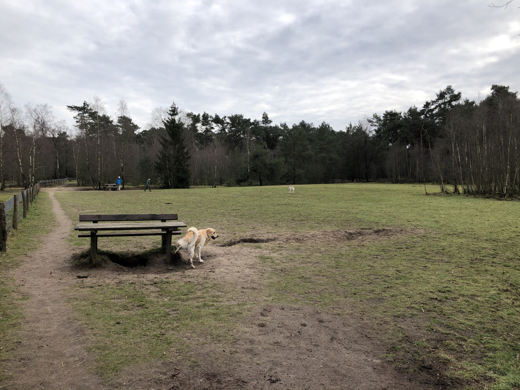 Losloopgebied Harskamp Veluwe