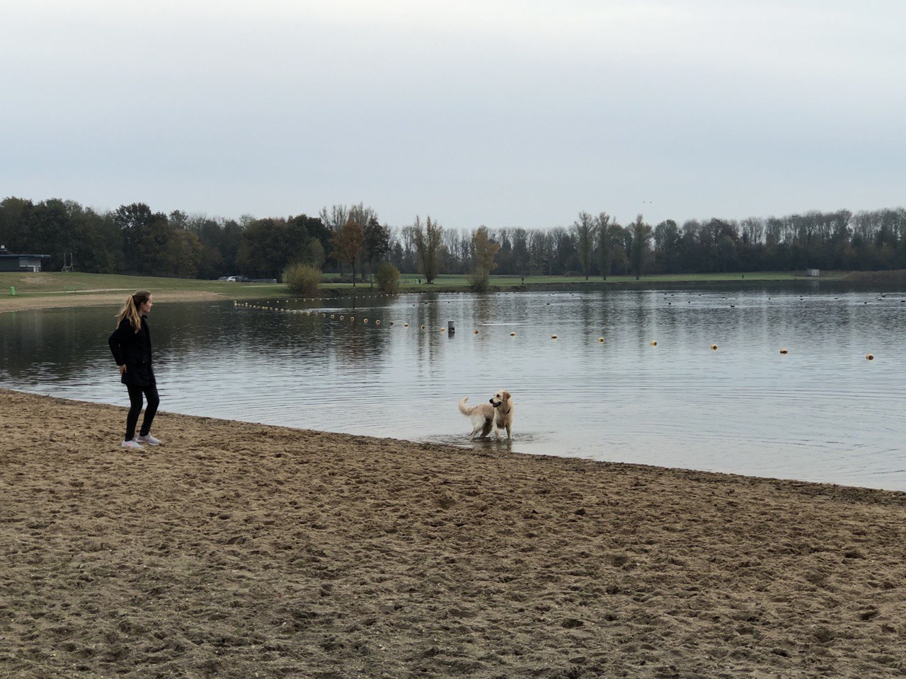 Losloopgebied Bergharen in Gelderland