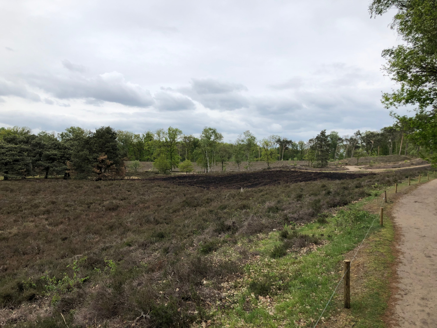 Wandel losloopgebied sint walrick wijchen overrasseltse vennen