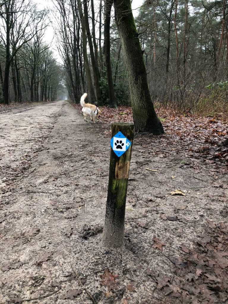 Handige route paaltjes in het Roekelse bos op de Veluwe
